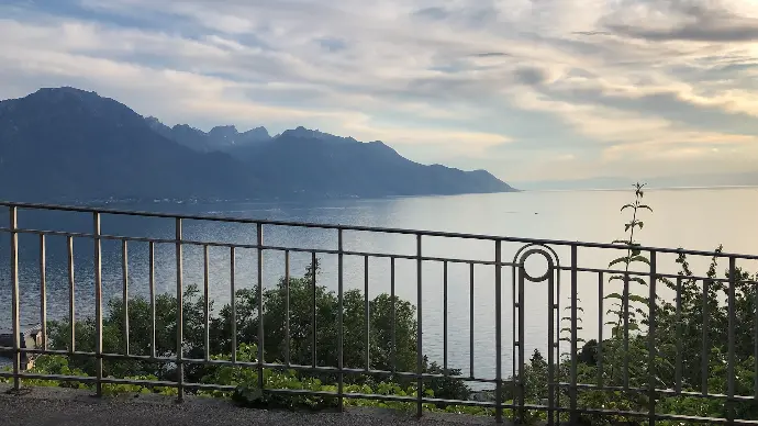 white metal fence near body of water during daytime