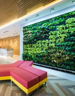 A modern reception area featuring a vibrant green living wall and a colorful pink and yellow seating area, creating a welcoming and refreshing atmosphere.