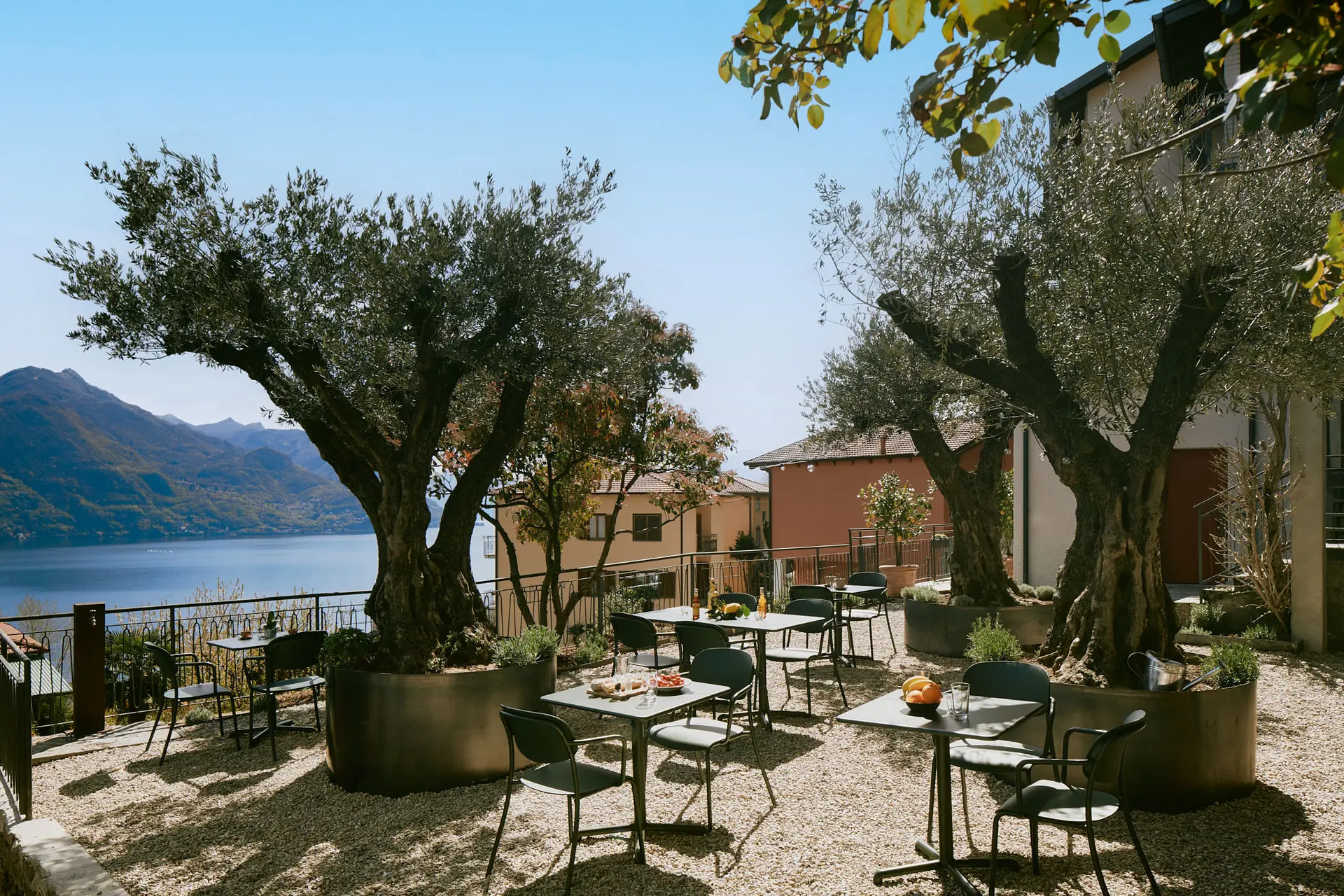 Scenic outdoor dining terrace at Lake Como Boutique Hotel with sourced hospitality furniture, olive trees, and panoramic lake views